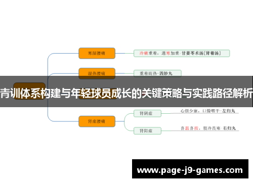 青训体系构建与年轻球员成长的关键策略与实践路径解析