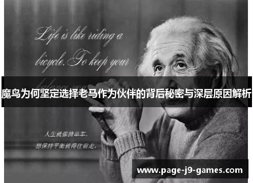 魔鸟为何坚定选择老马作为伙伴的背后秘密与深层原因解析 魔鸟为何坚定选择老马作为伙伴的背后秘密与深层原因解析